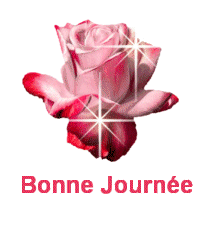 bon journéé